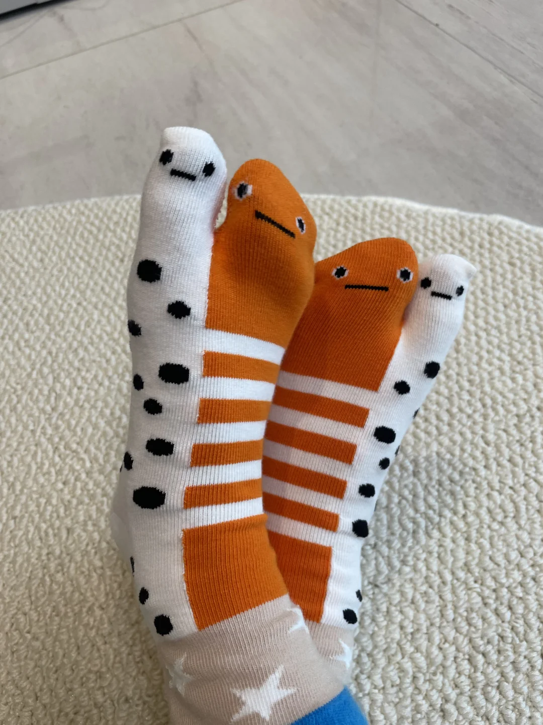 live实况！❗️分指花园鳗对比🆚又来了❗️❗️