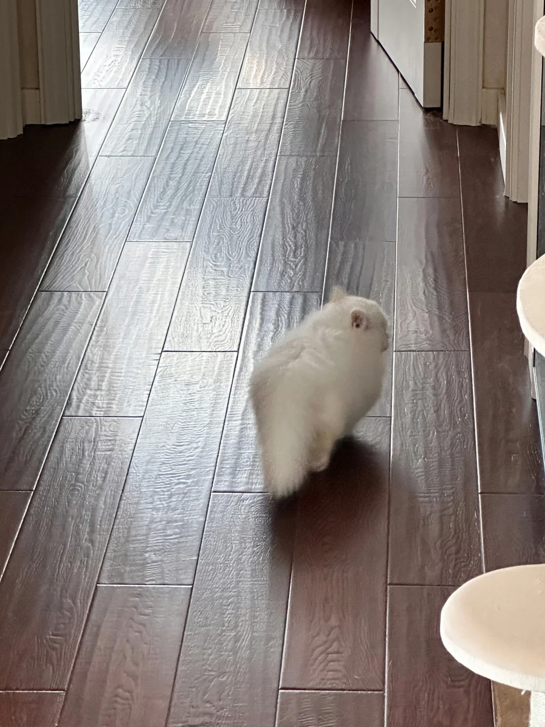 衣服基础身材就不基础