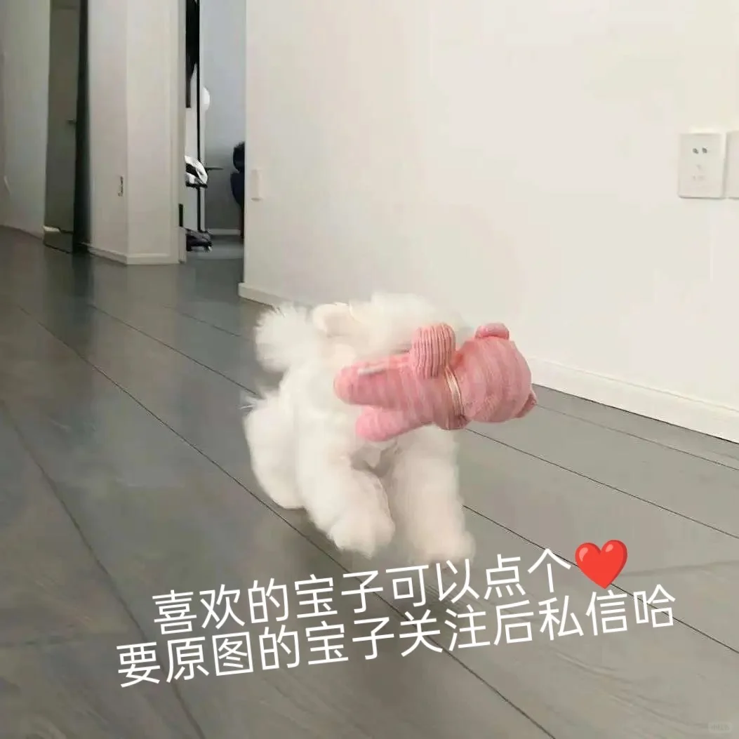 头像丨青苹果味的氧气女生