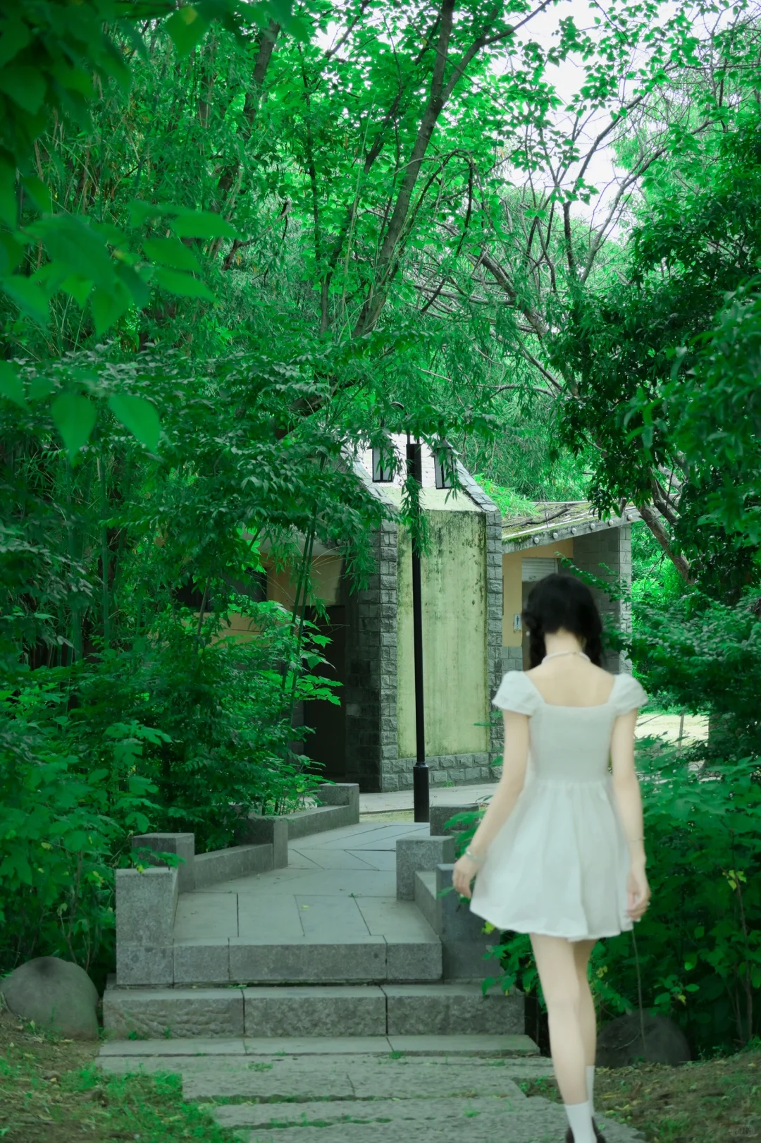 心动一下又一夏