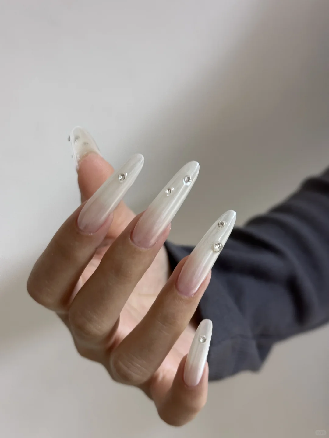 一位优雅的梭子蟹女士