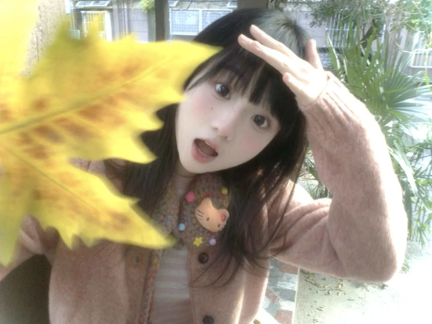 🌳&bull;͈ ༝ &bull;͈🌳 ᶻ 𝗓 𐰁 .ᐟ