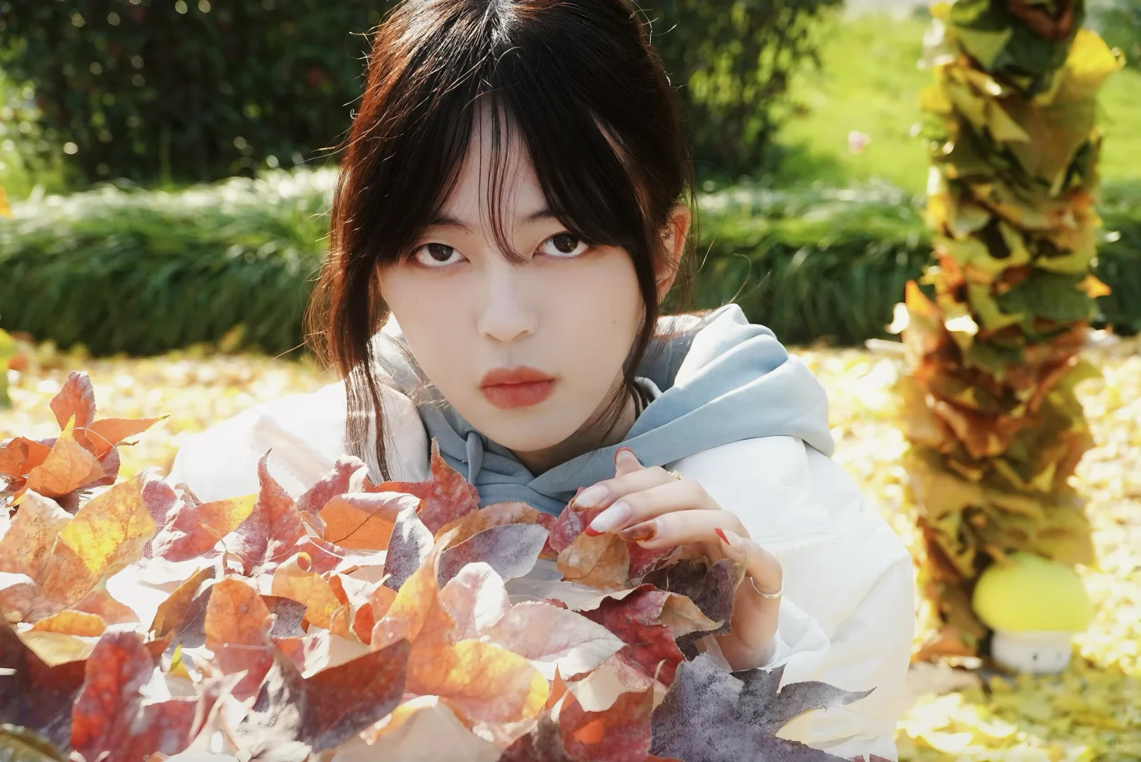 新手摄影第一次拍摄