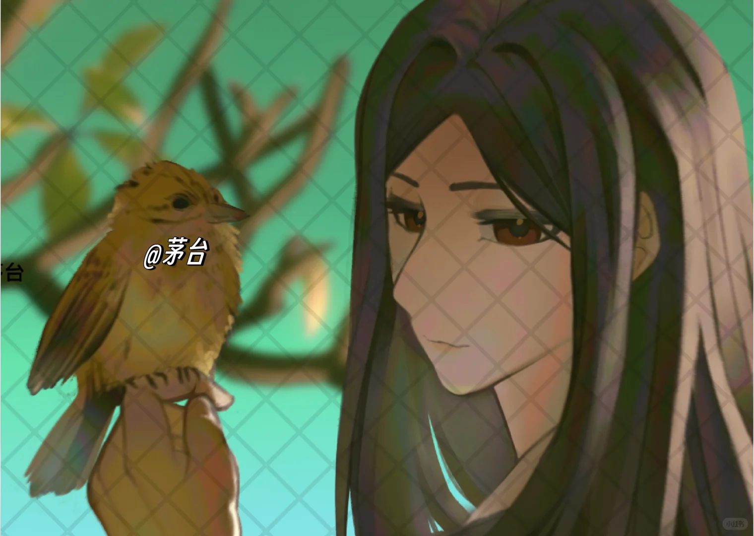 中国女人在逗鸟