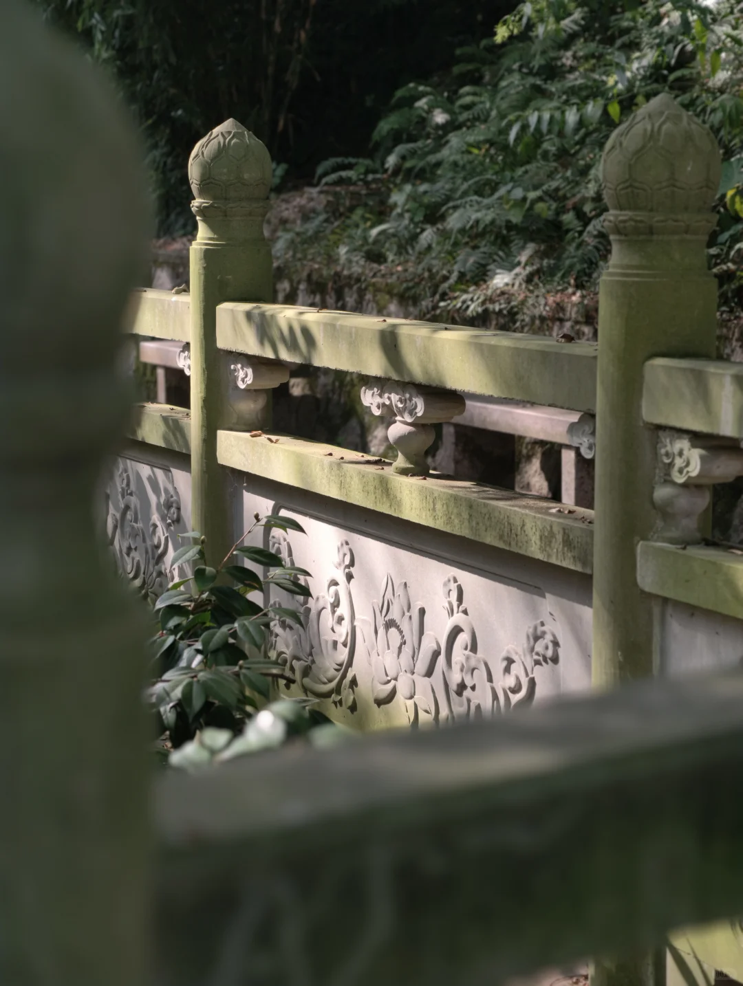 女摄看着手里新买的vivo陷入沉思