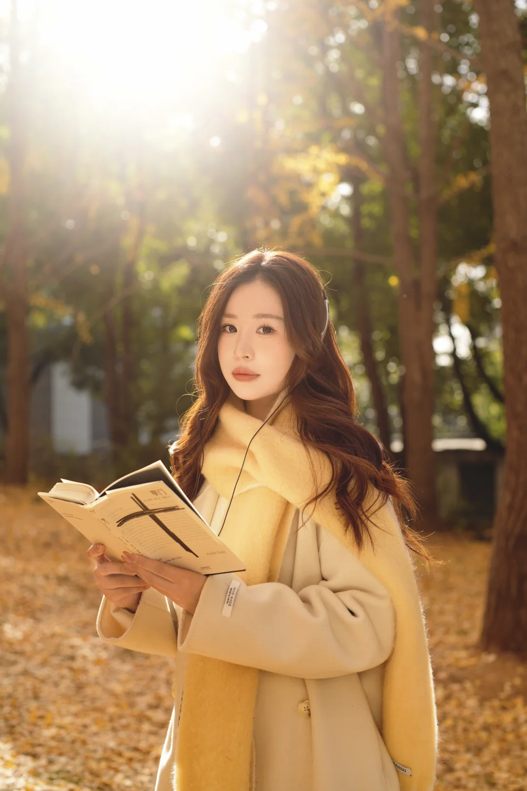 华科女摄｜上周的银杏林📷