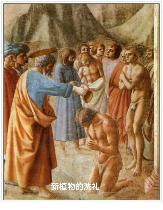 每天一位艺术家&mdash;&mdash;马萨乔