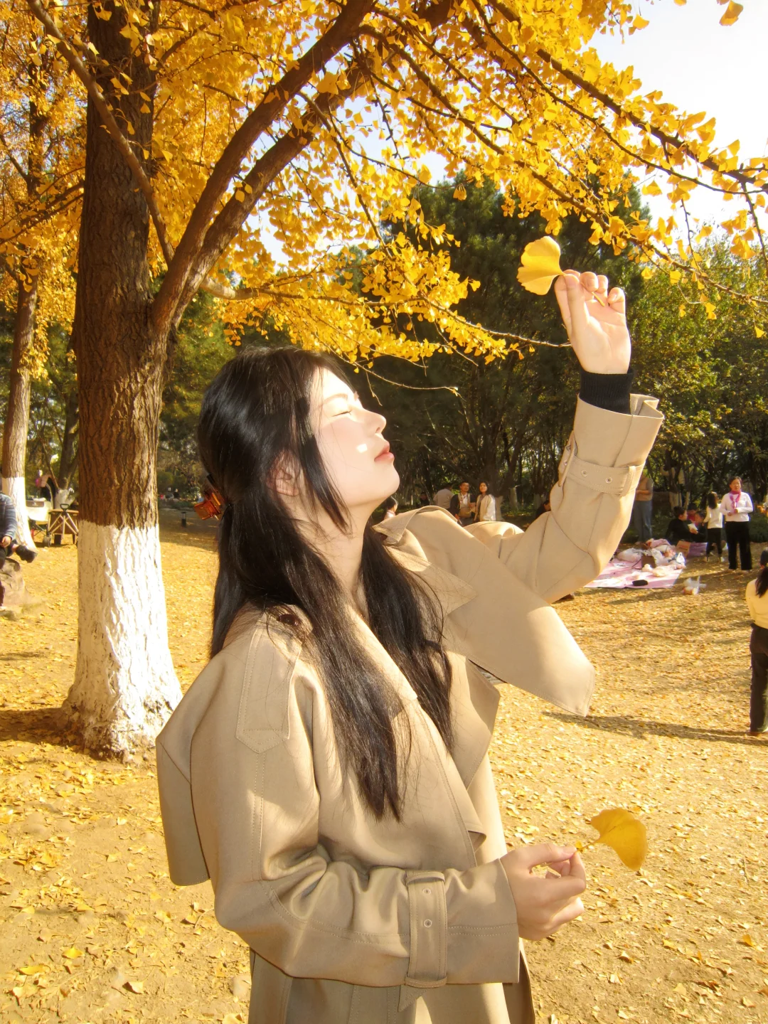 杭州女大陪拍｜冬日来杏🍂