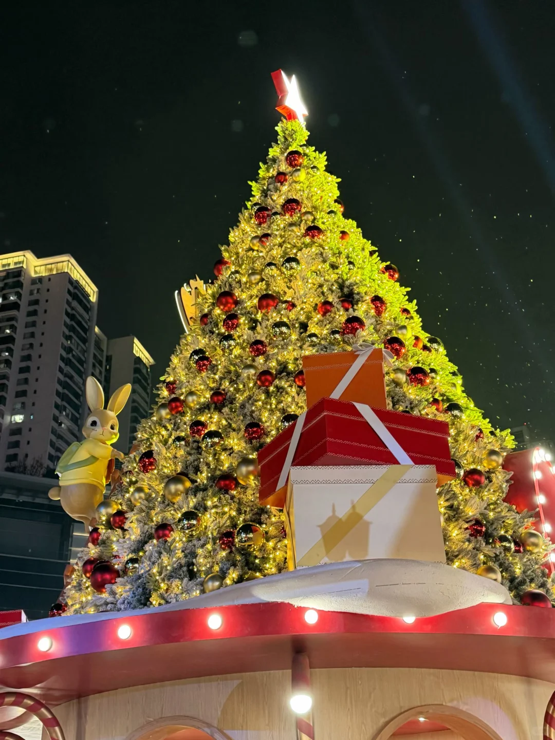 成都圣诞拍照📷