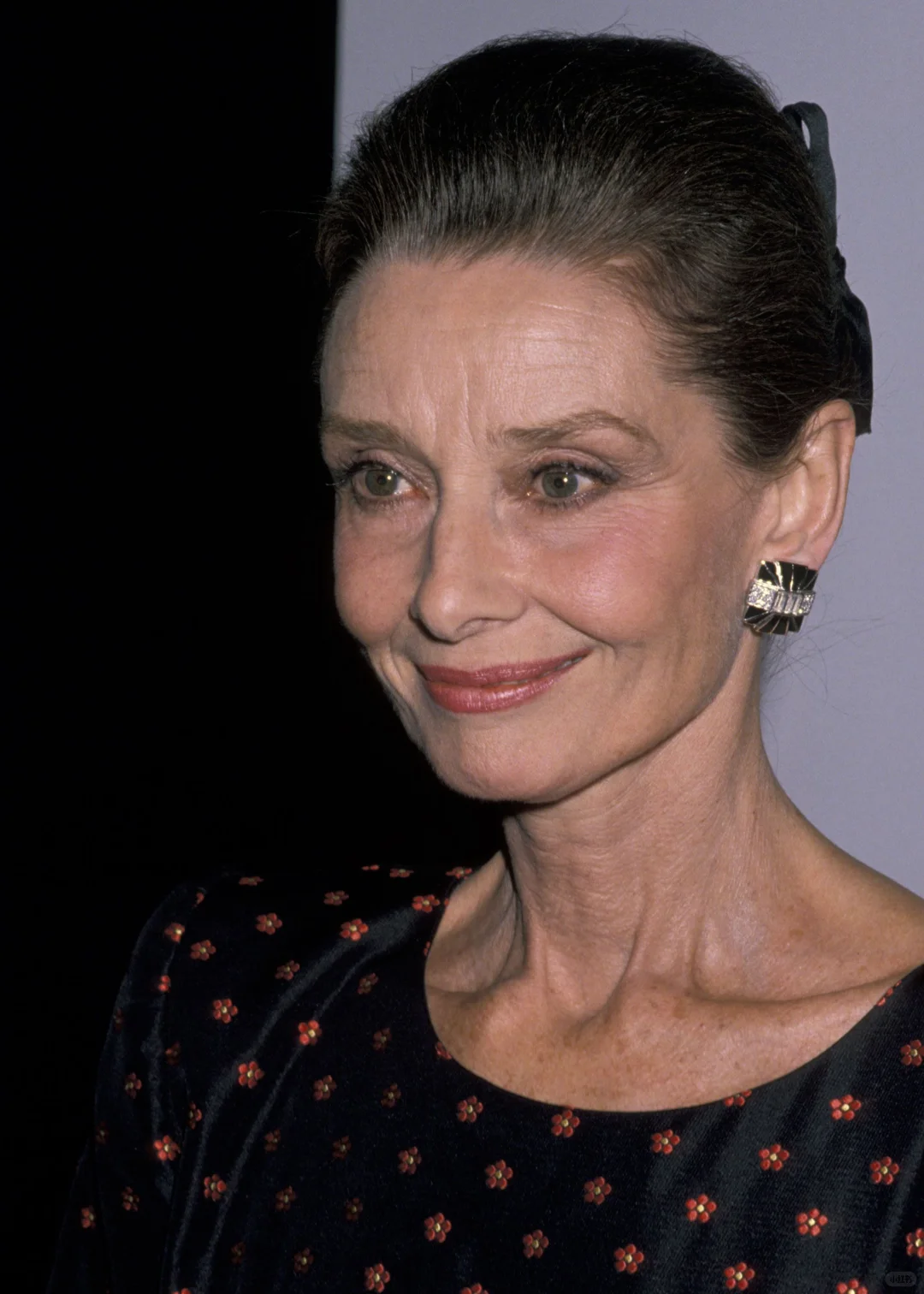 人会变老，但优雅的人会优雅的老去