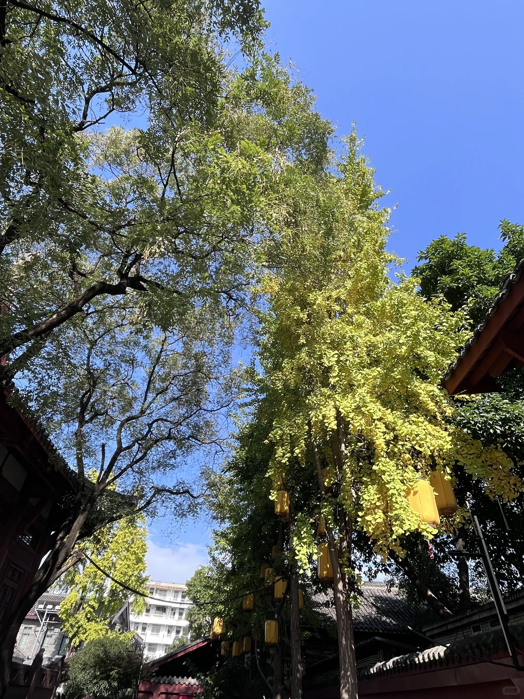 每个角度看起来就会不一样哈哈～