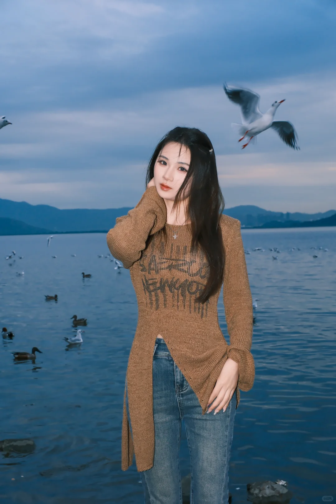 富士女摄、15/张、深圳湾公园