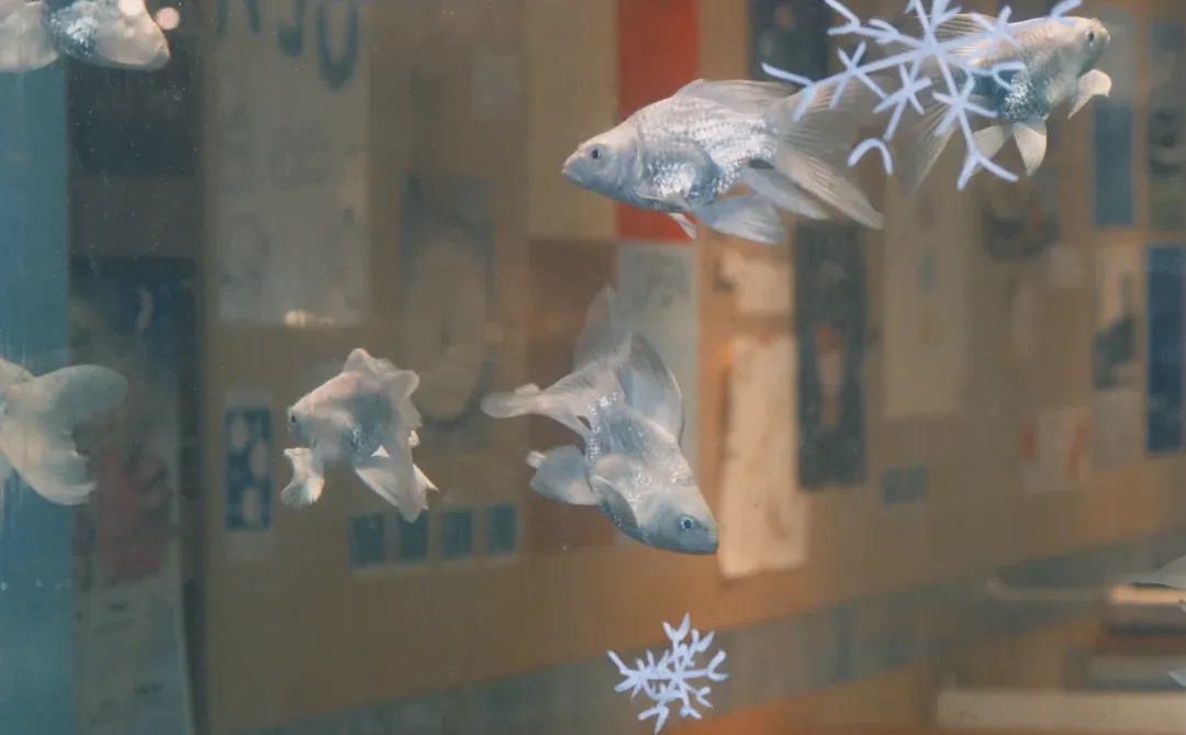 或许，你也喜欢和女朋友一起去吃漂亮饭吗？