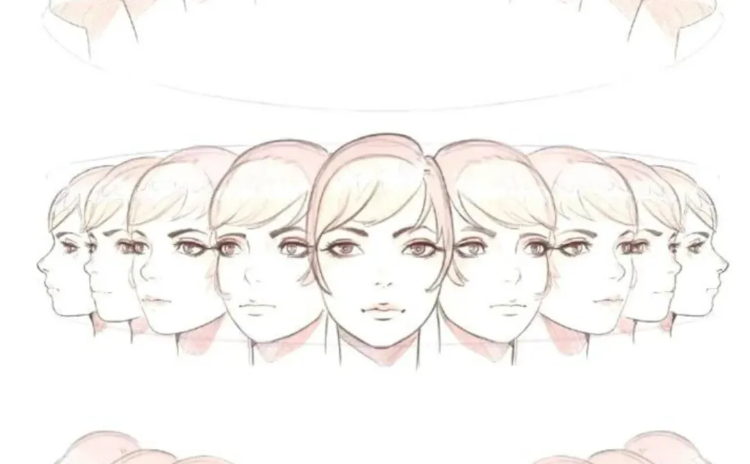 人体结构透视素材分享