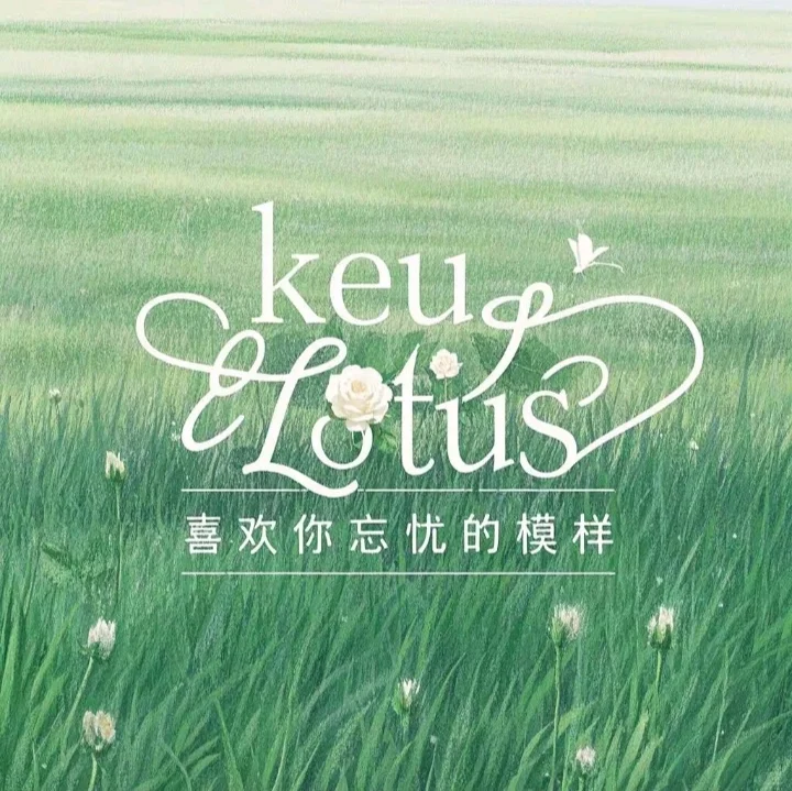 太好了是新品牌