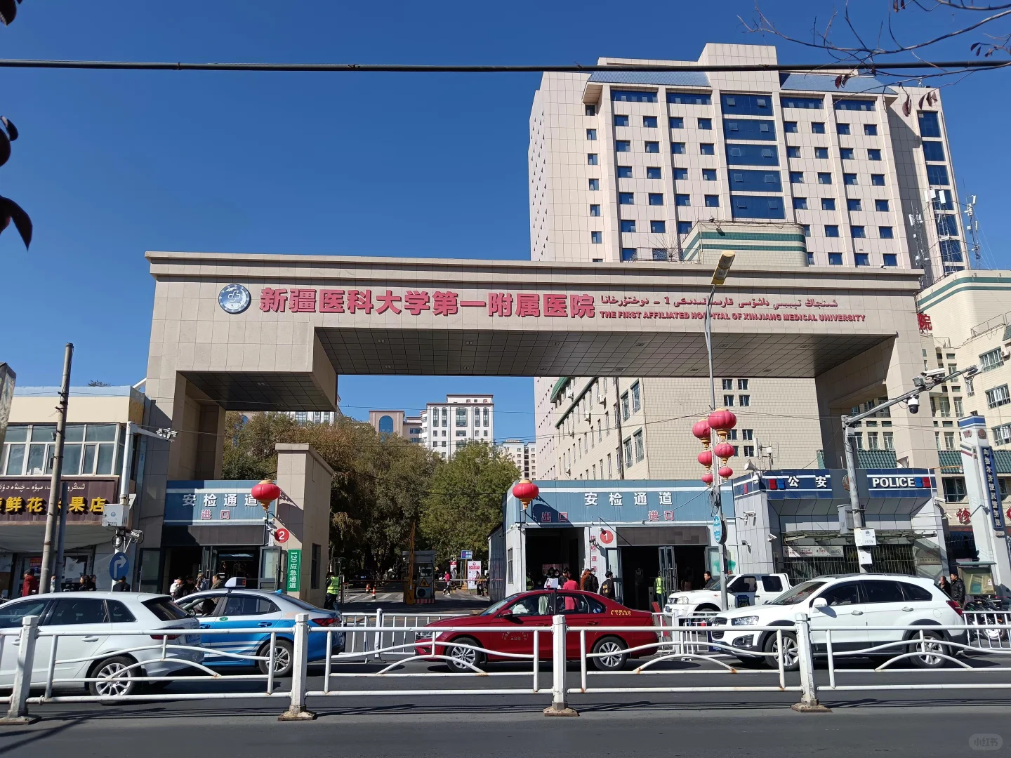 新疆自治區十強醫園