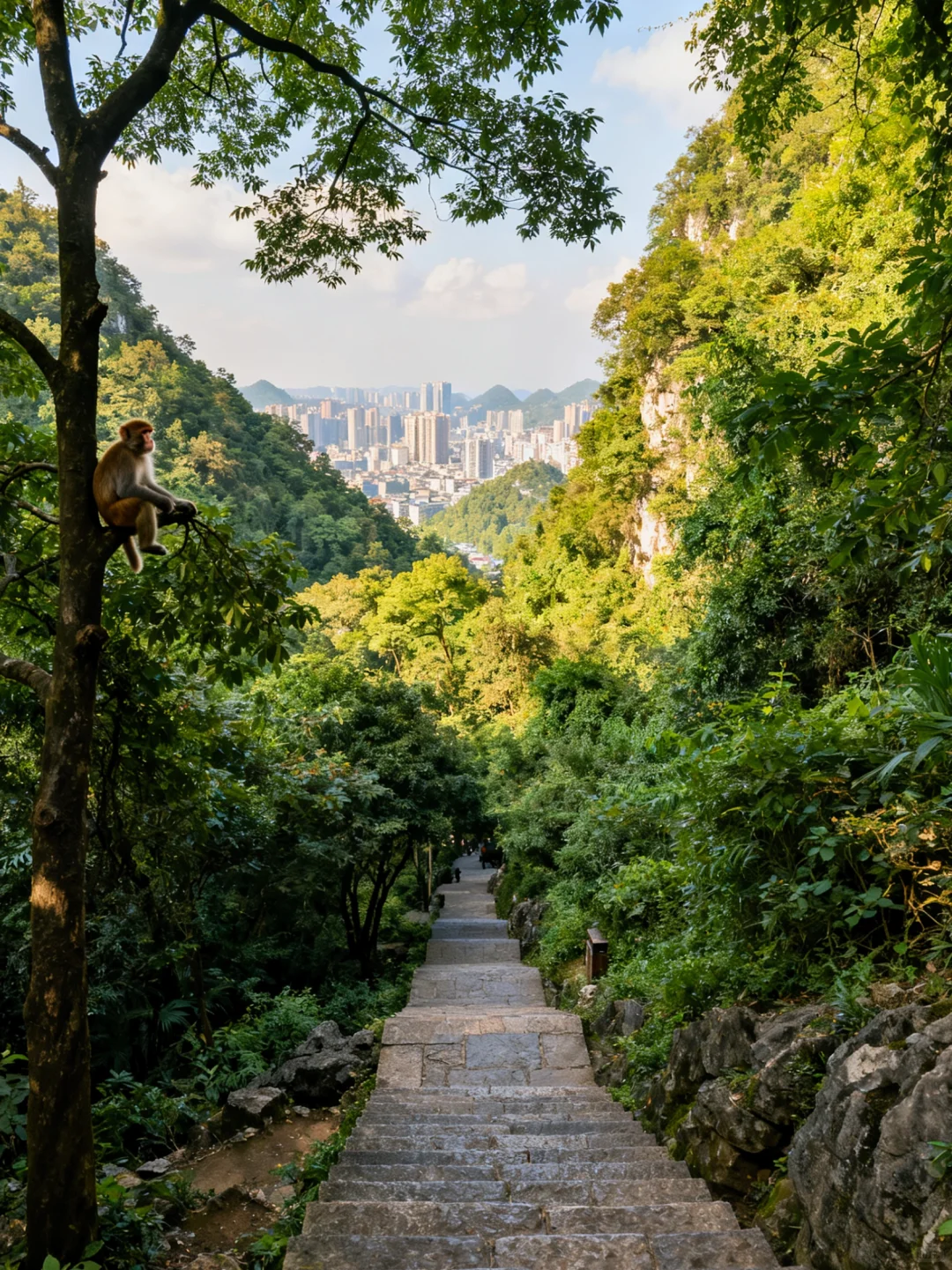 2025西南地區康養十強城市，貴陽排名榜首