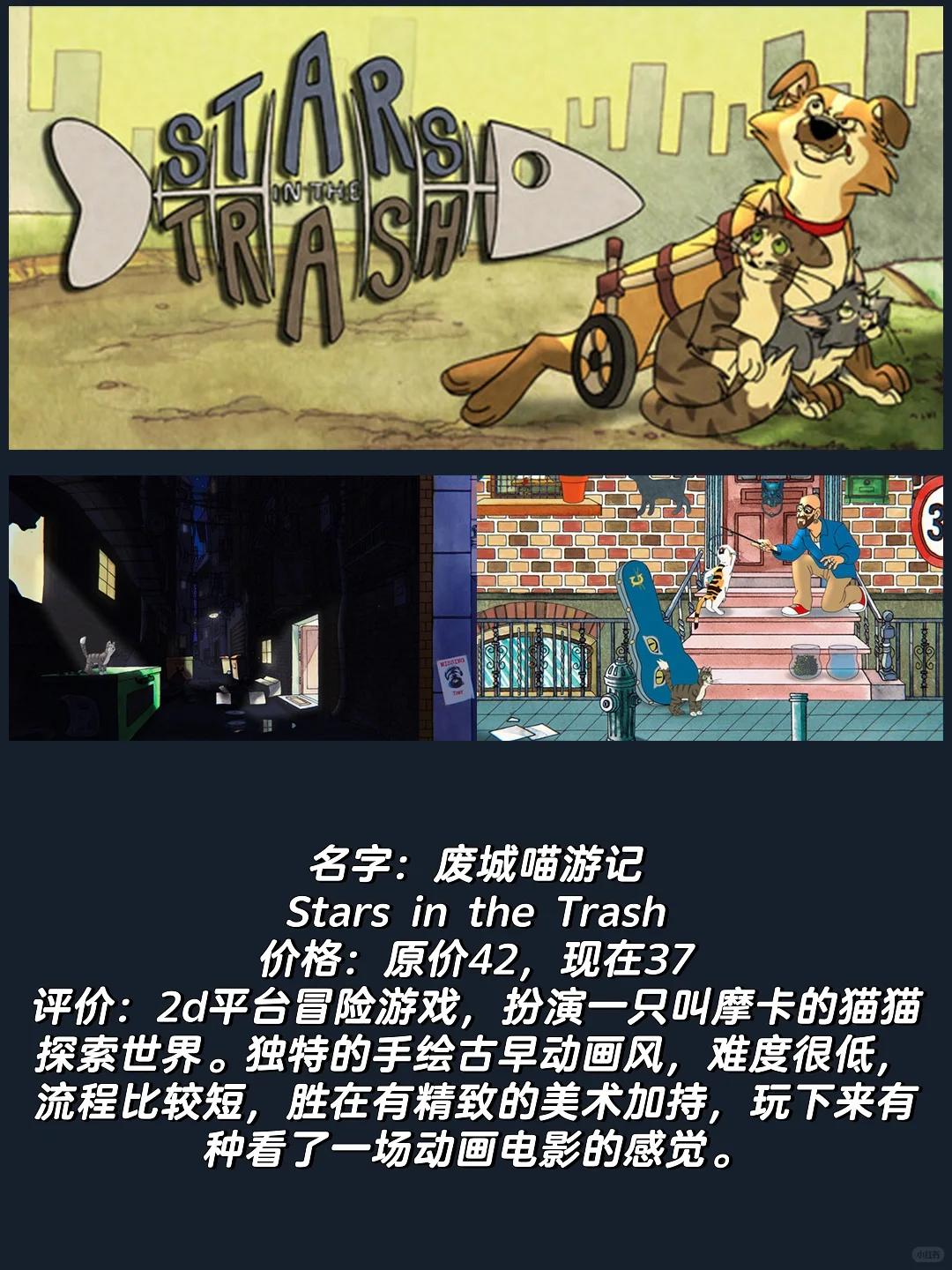 吃点好的｜24年最值得玩的猫咪游戏，喵门！