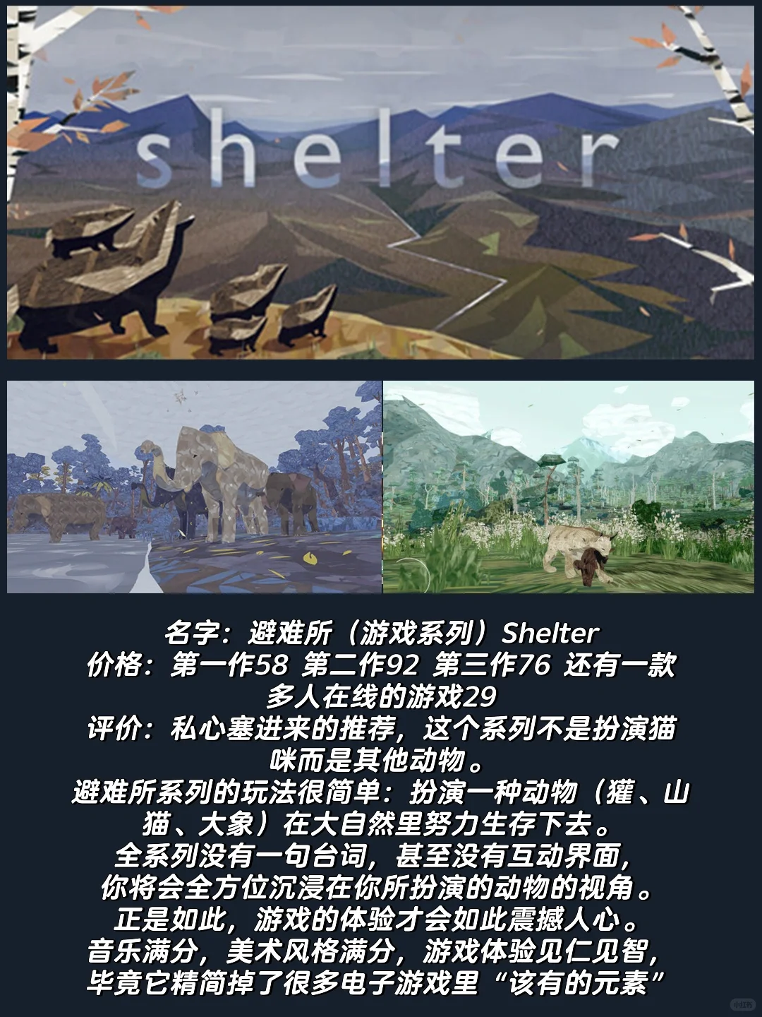 吃点好的｜24年最值得玩的猫咪游戏，喵门！