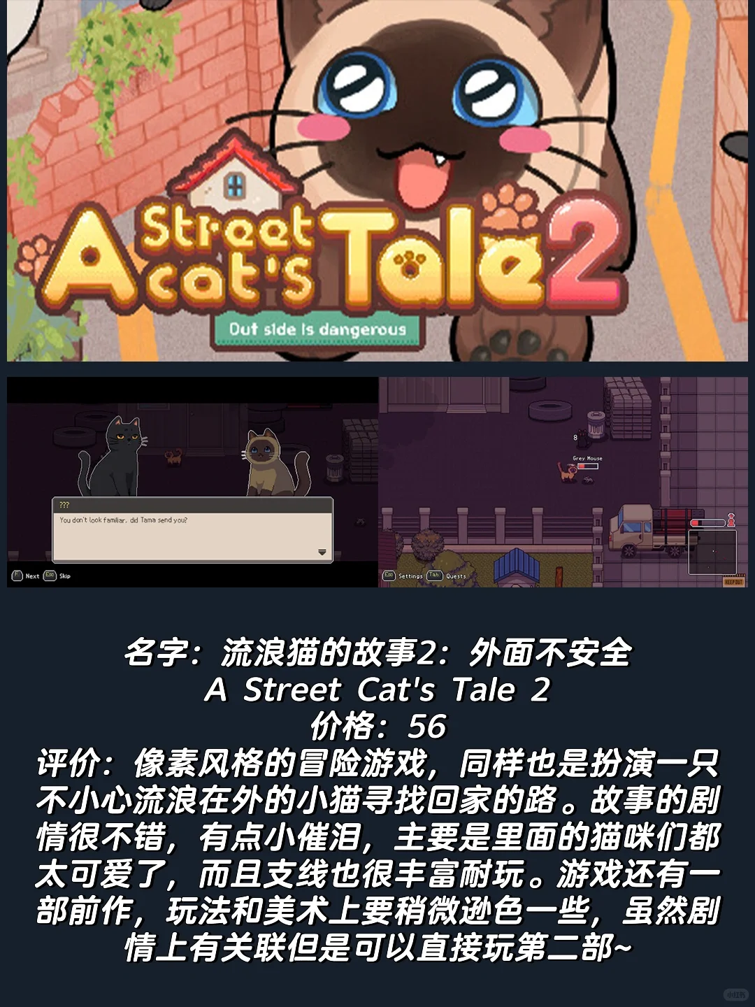 吃点好的｜24年最值得玩的猫咪游戏，喵门！