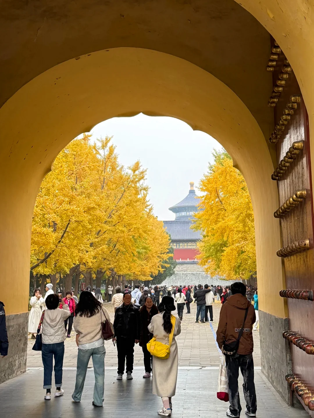 天坛公园含金量又升了！天坛11月游玩攻略