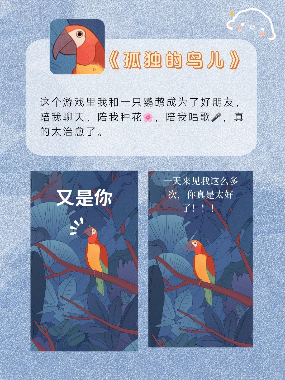 被女生夸爆的独处宝藏APP❗