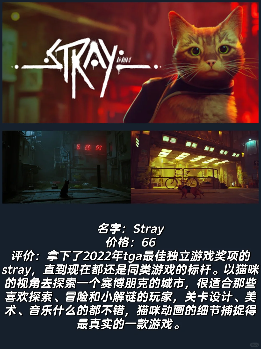 吃点好的｜24年最值得玩的猫咪游戏，喵门！