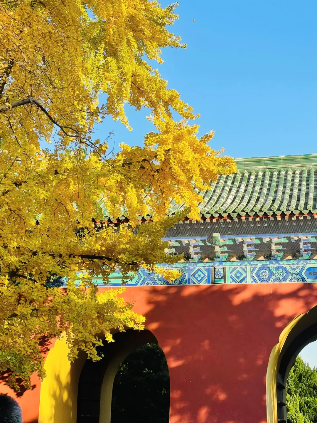 天坛公园含金量又升了！天坛11月游玩攻略