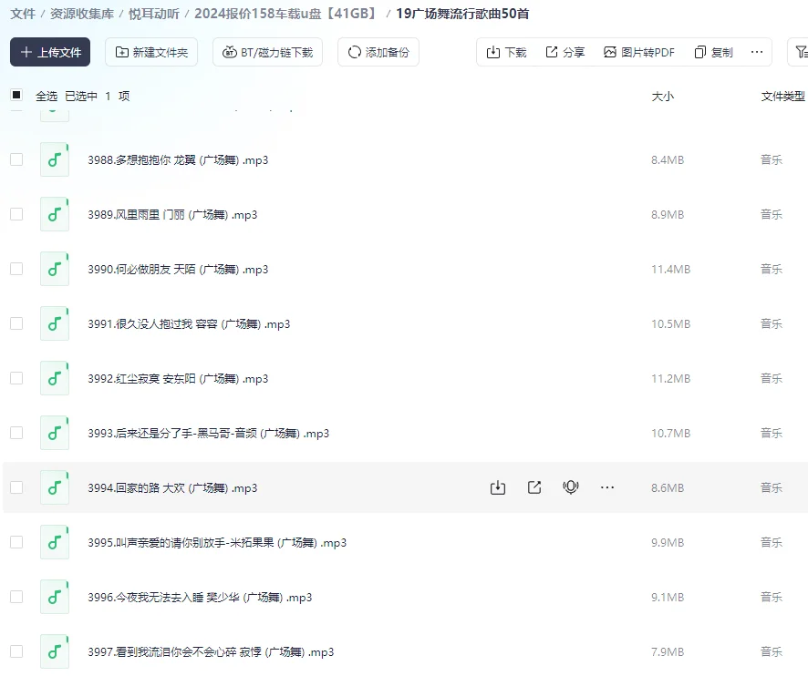 广场舞，广场舞DJ歌曲嗨不停