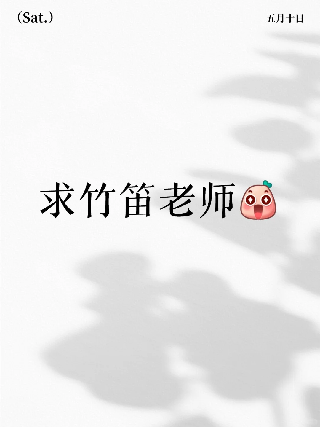 求竹笛老师推荐！！！