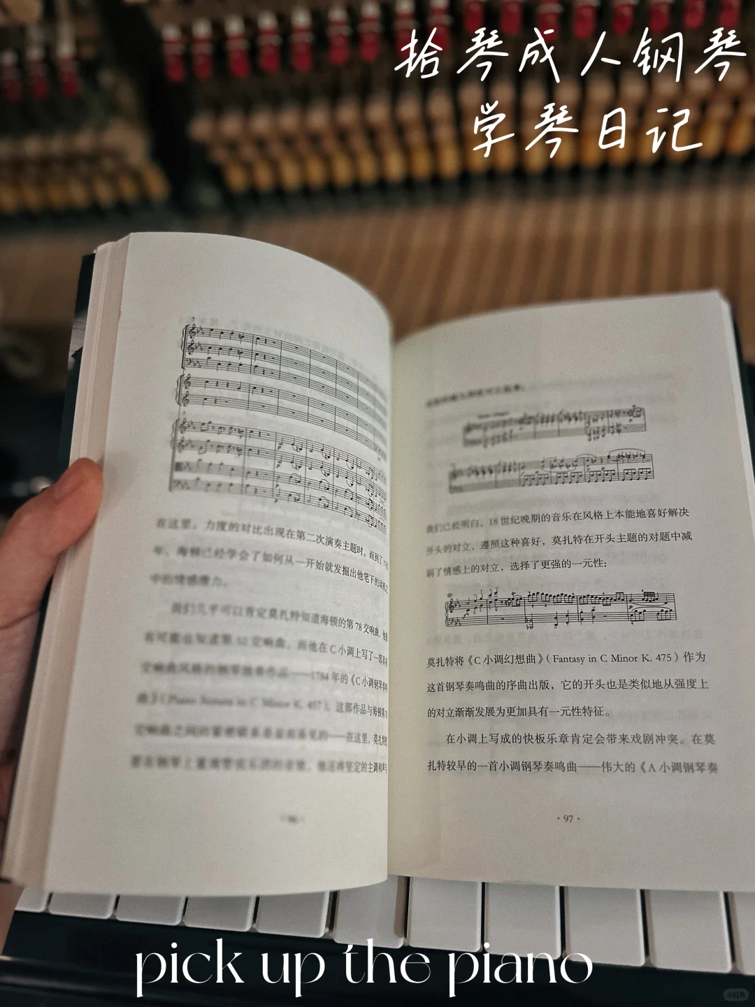 《音乐与情感》—— 形式与心灵的共振