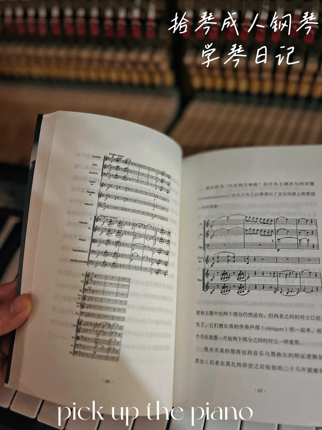 《音乐与情感》—— 形式与心灵的共振