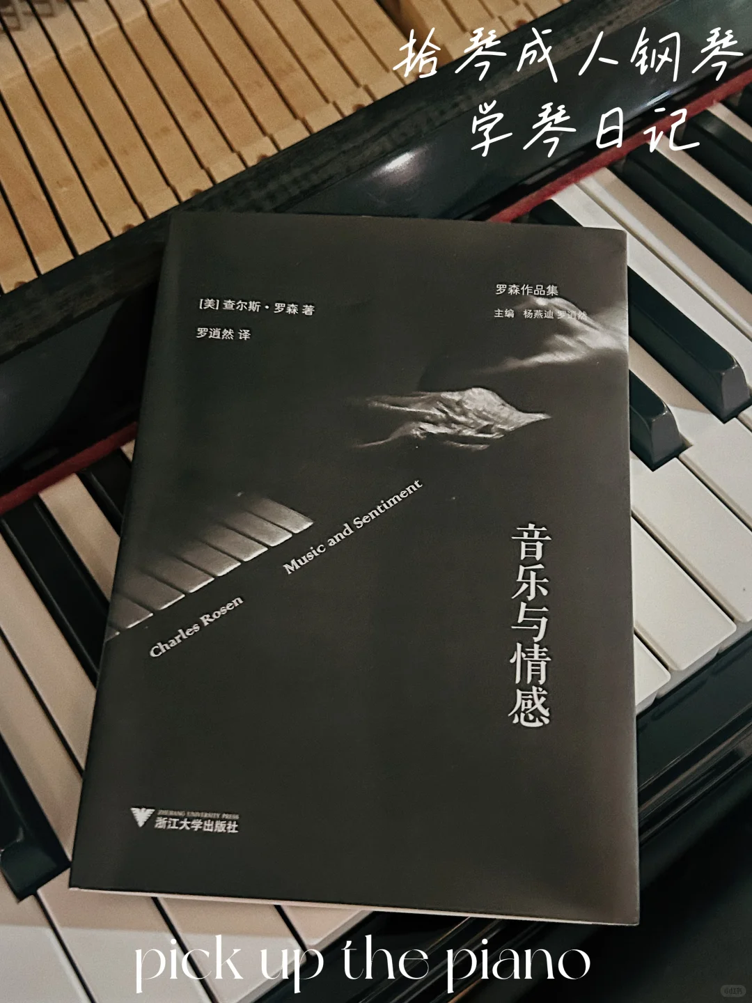 《音乐与情感》—— 形式与心灵的共振