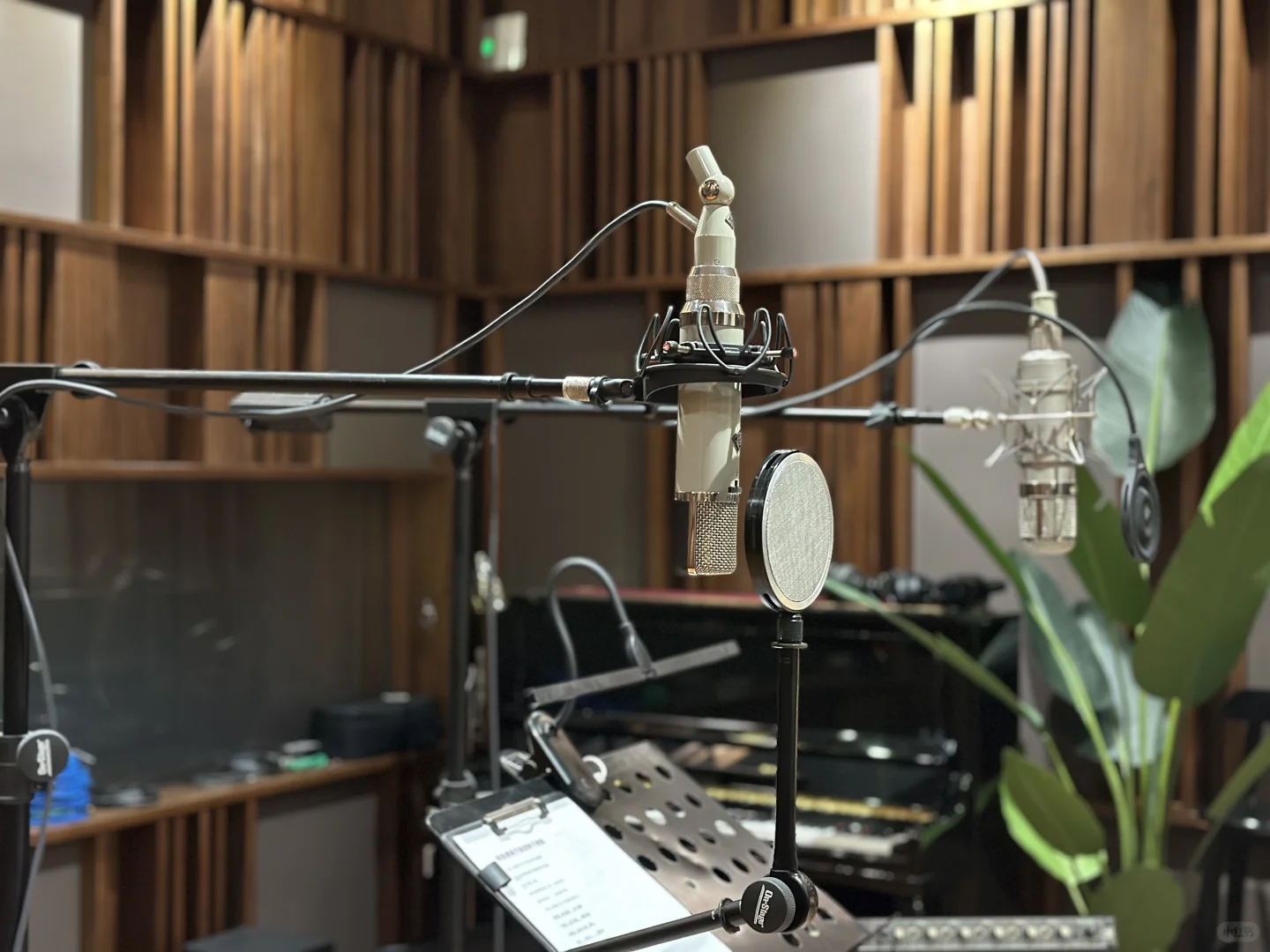 原来小白也能成为专业歌手