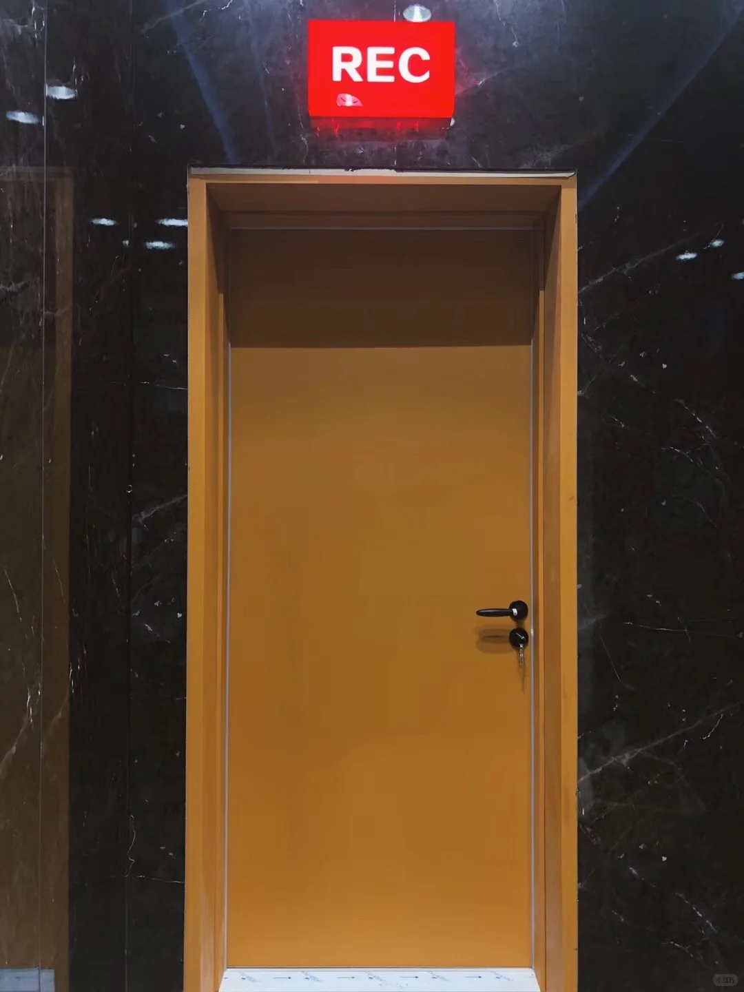 原来小白也能成为专业歌手