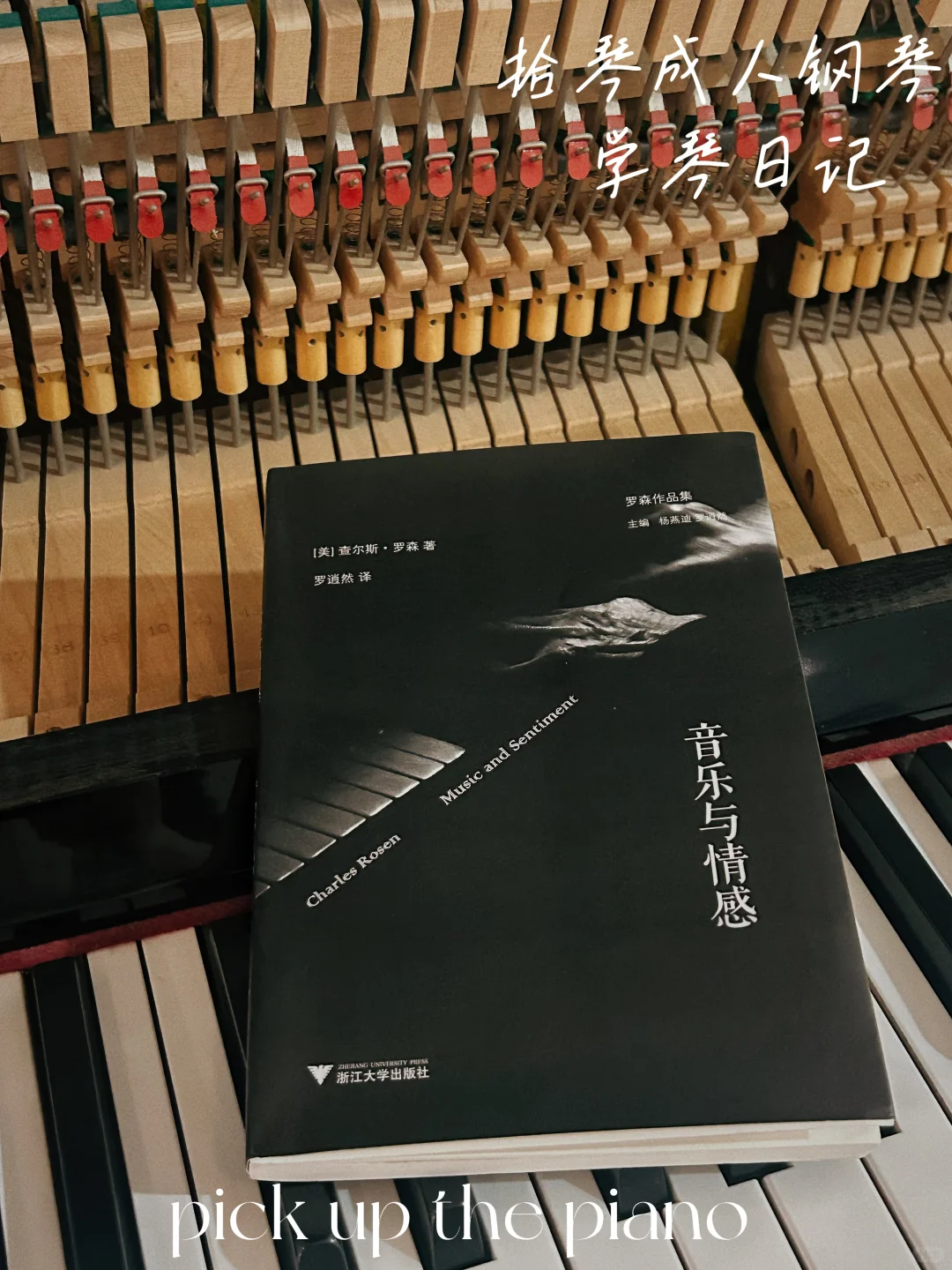 《音乐与情感》—— 形式与心灵的共振