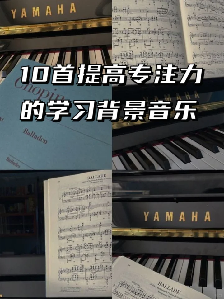 📚【沉浸式学习】写作业必备，好听到哭！