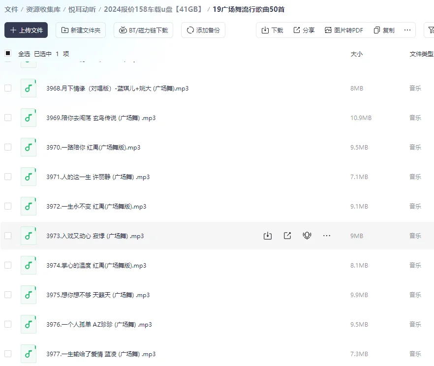 广场舞,广场舞DJ歌曲嗨不停