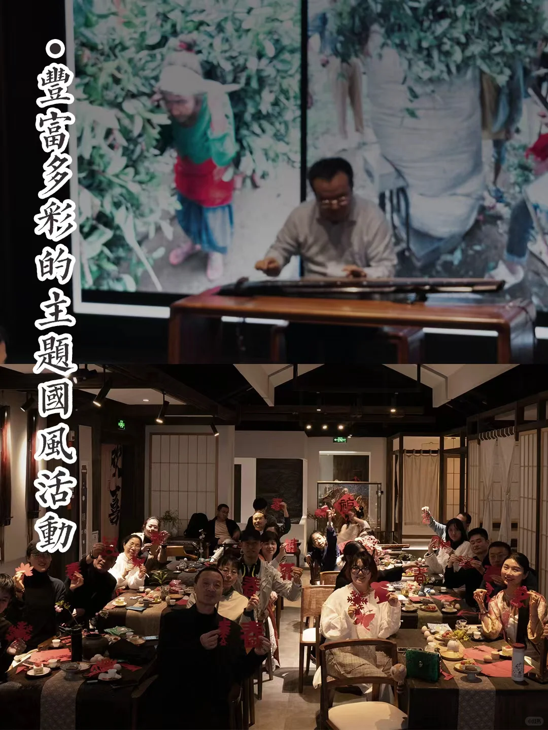 杭州古琴 | 成人零基础不要错过！