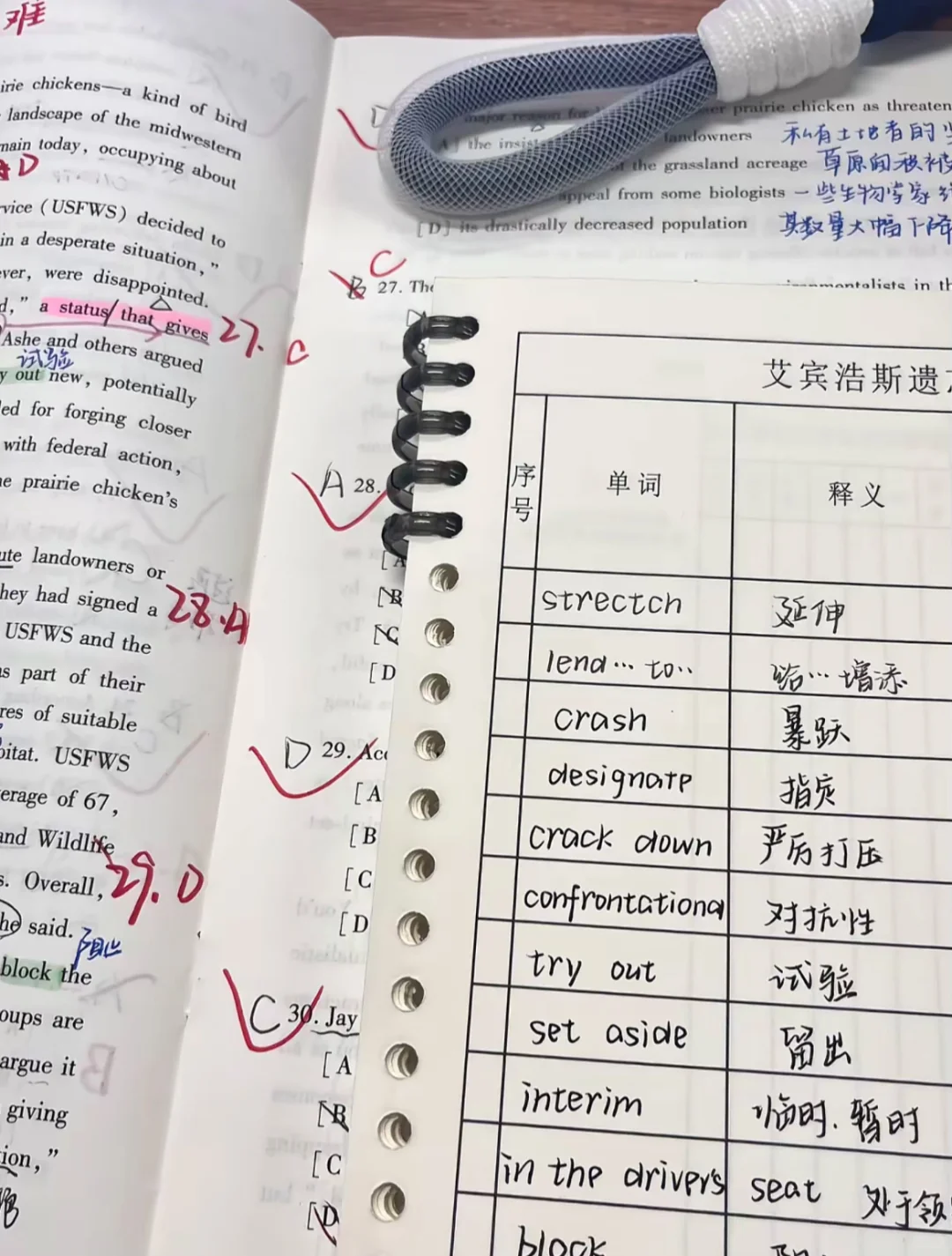 考研学习|英文歌单推荐