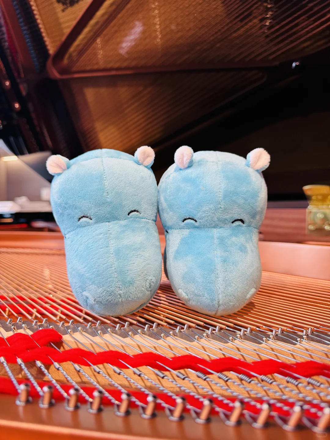 关于音乐学习的策略💗