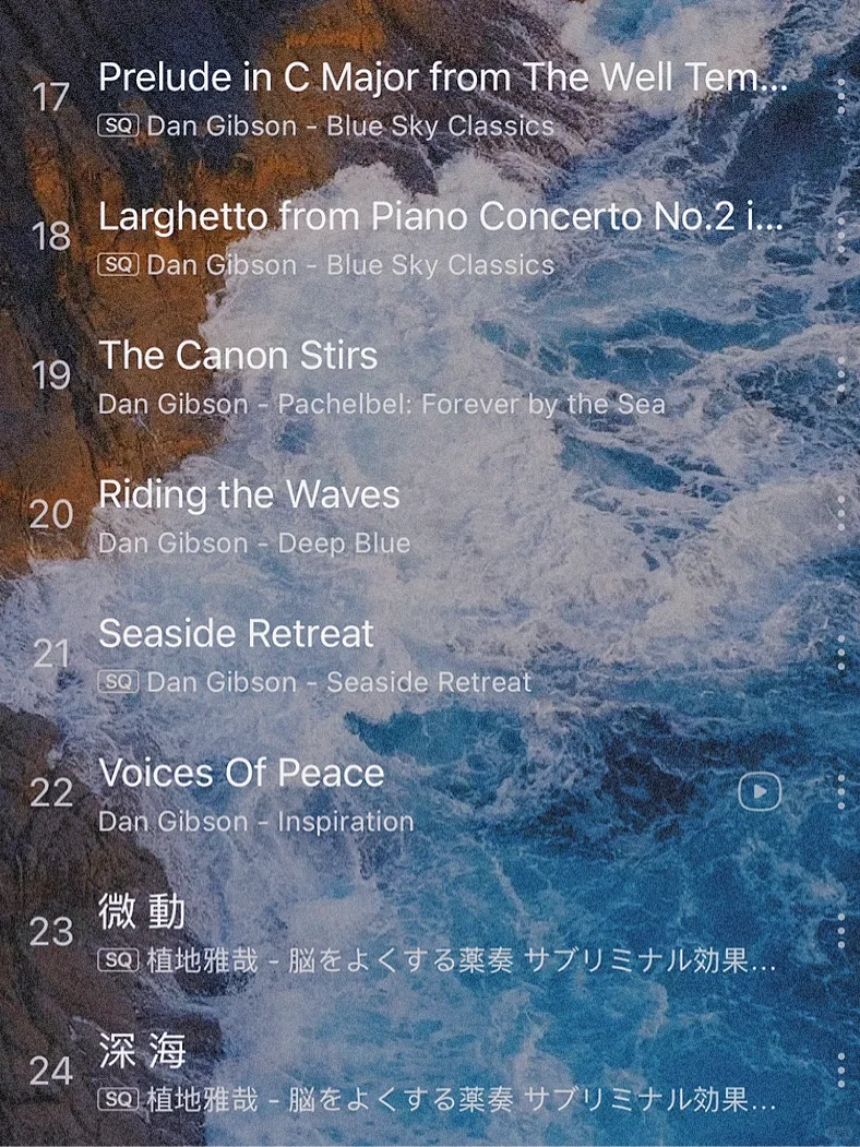 ❗️绝对不能错过的提升学习记忆的音乐🎶