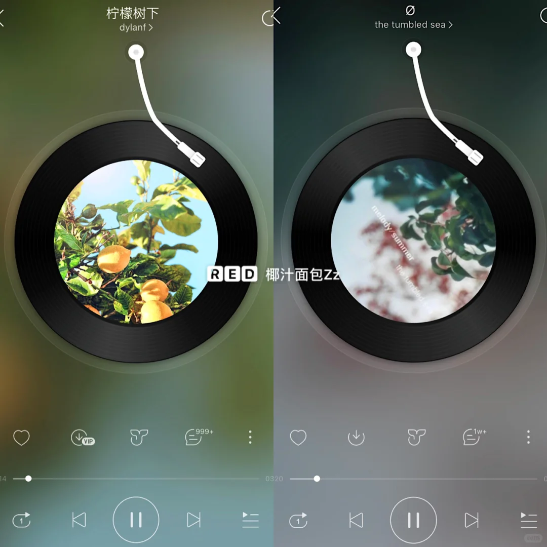 ☕️纯音乐歌单分享🥀学习|下午茶|阅读|午睡