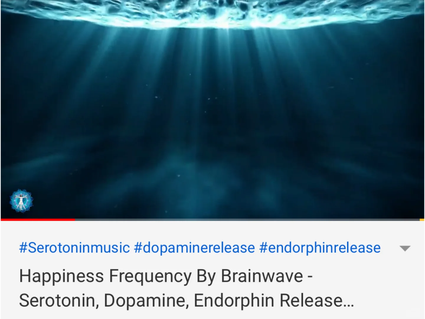 ✍️提高学习效率｜🎵帮助集中注意力的音乐