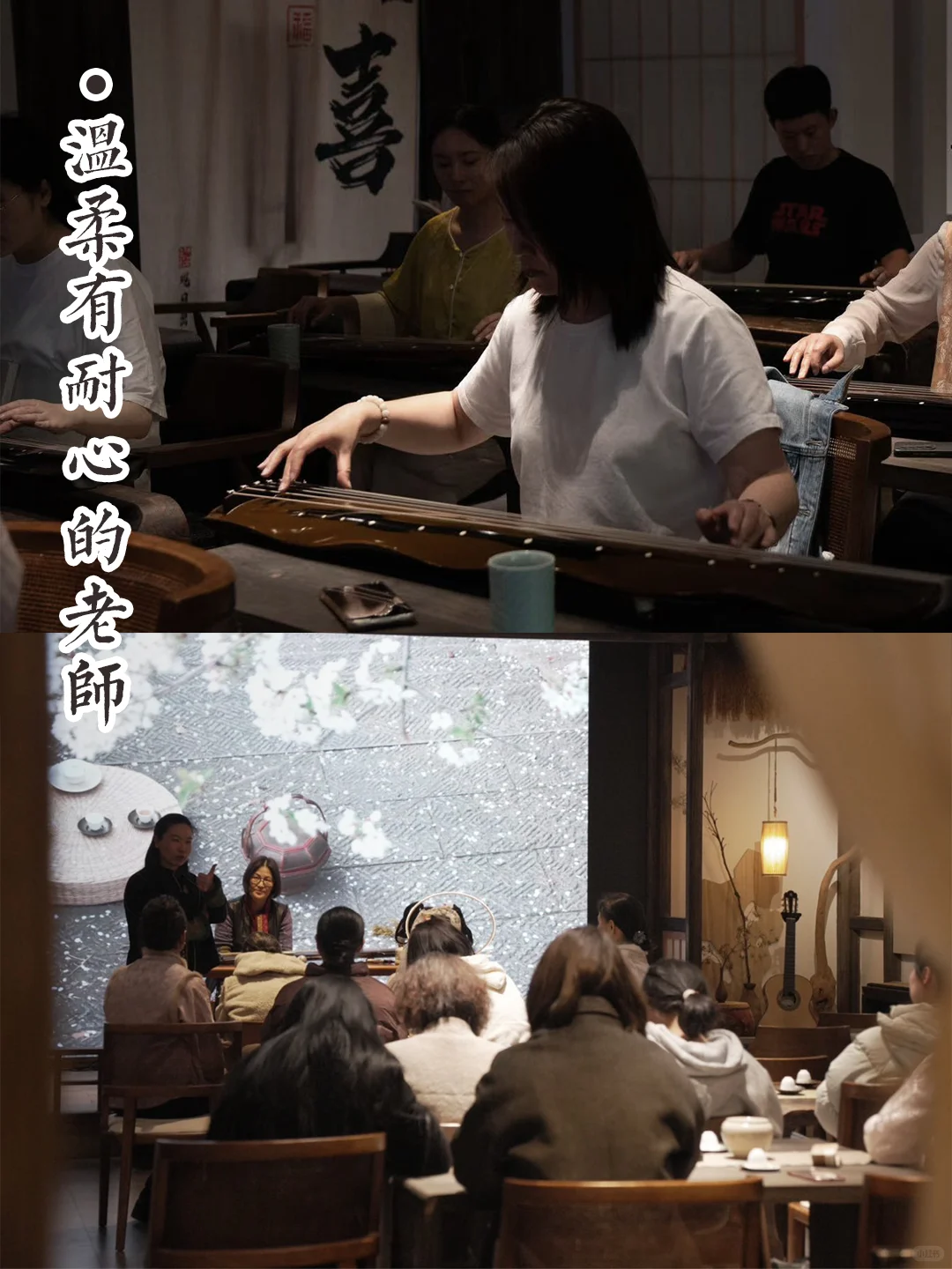 杭州古琴 | 成人零基础不要错过!