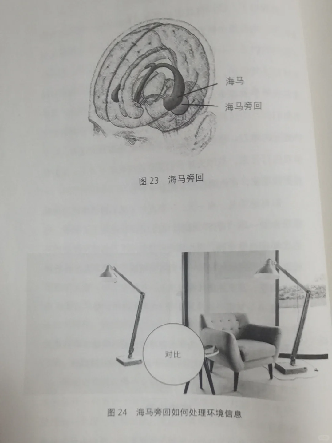 在学习时听音乐是会促进还是妨碍学习?