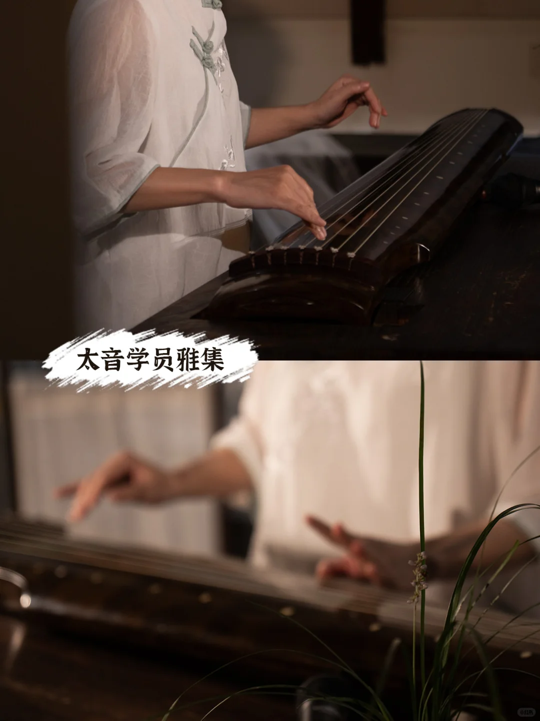 杭州古琴公益雅集，来了～