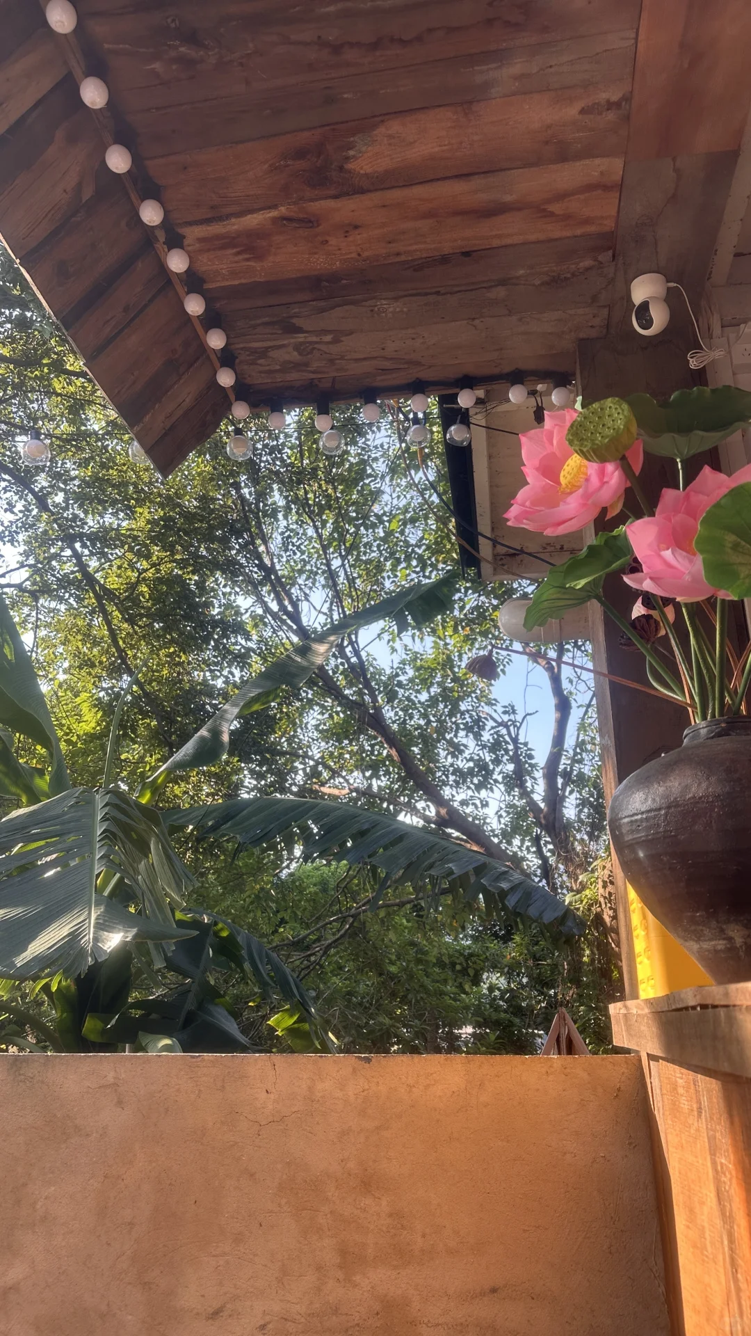 静下心来学习、助眠白噪音歌单分享