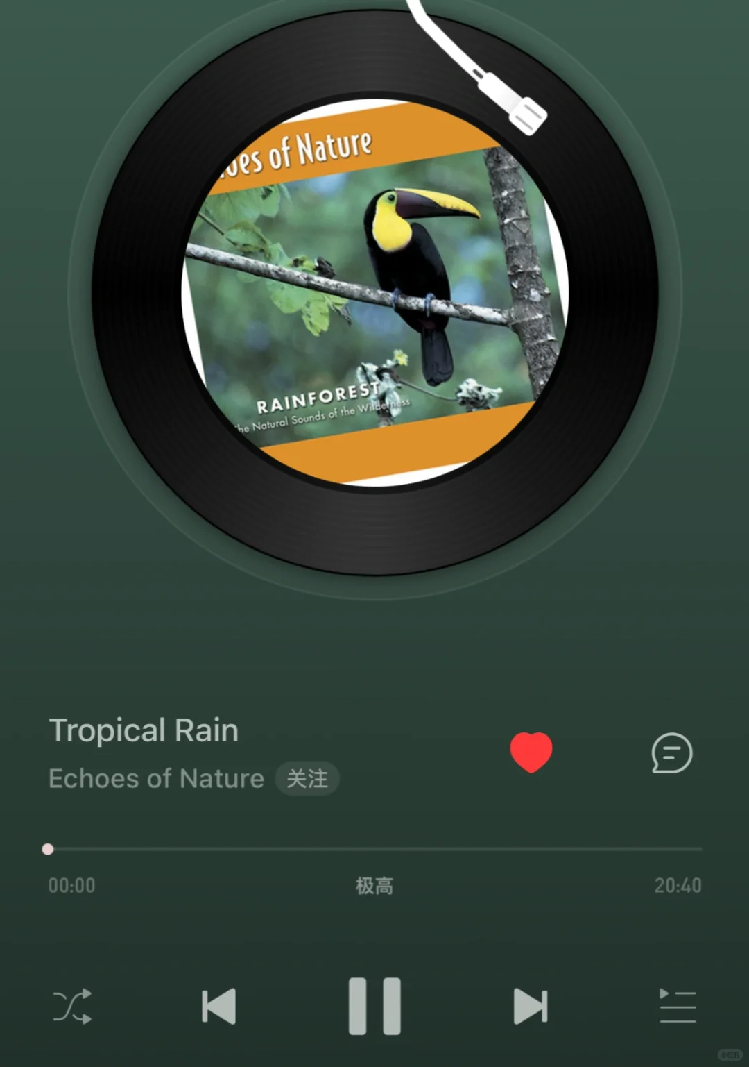 ✨开启心流模式!高效学习曲单分享🎧