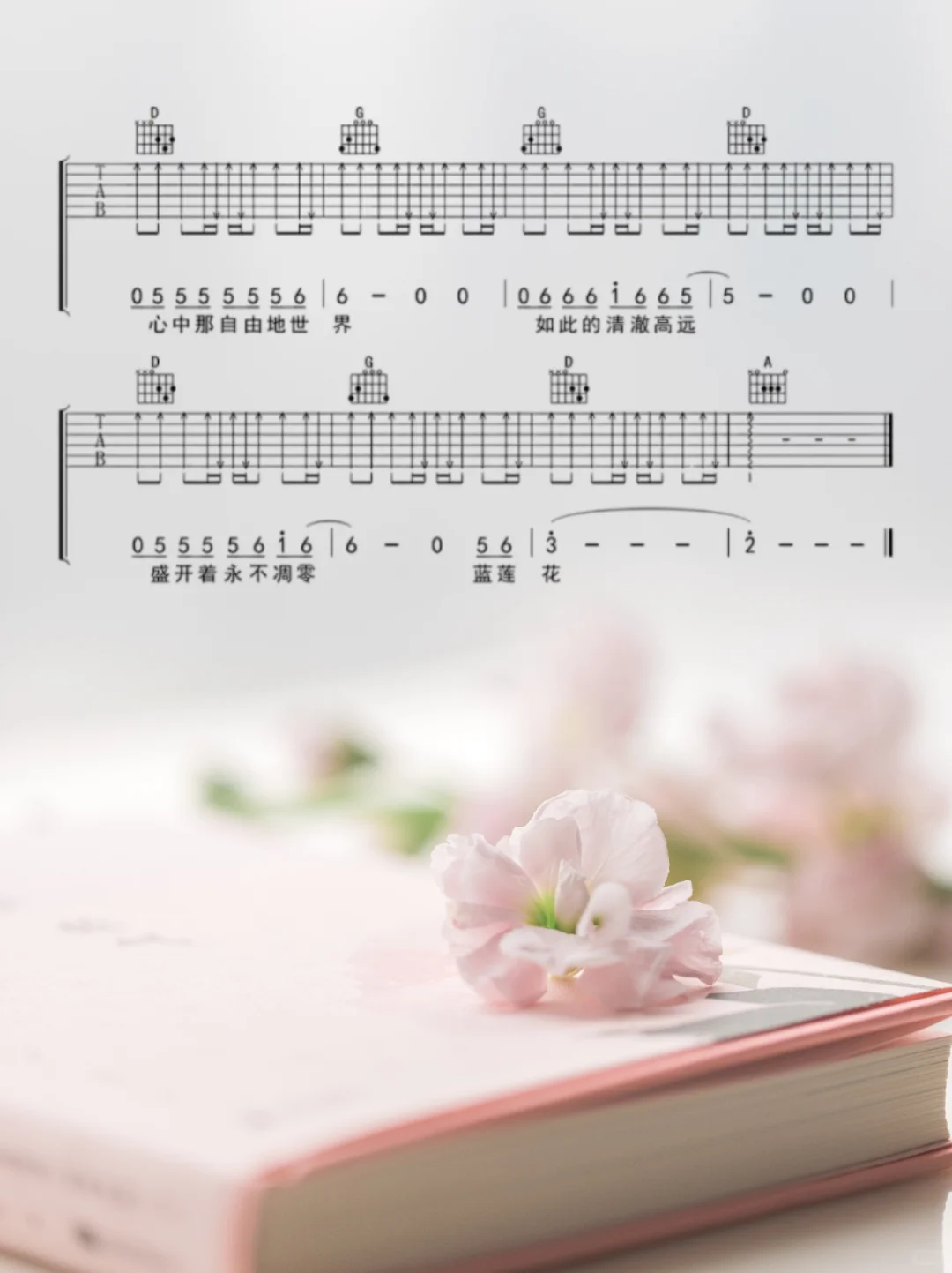 好听易上手的5首民谣吉他曲谱